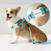 Smart Pet Cat Dog GPS Locator